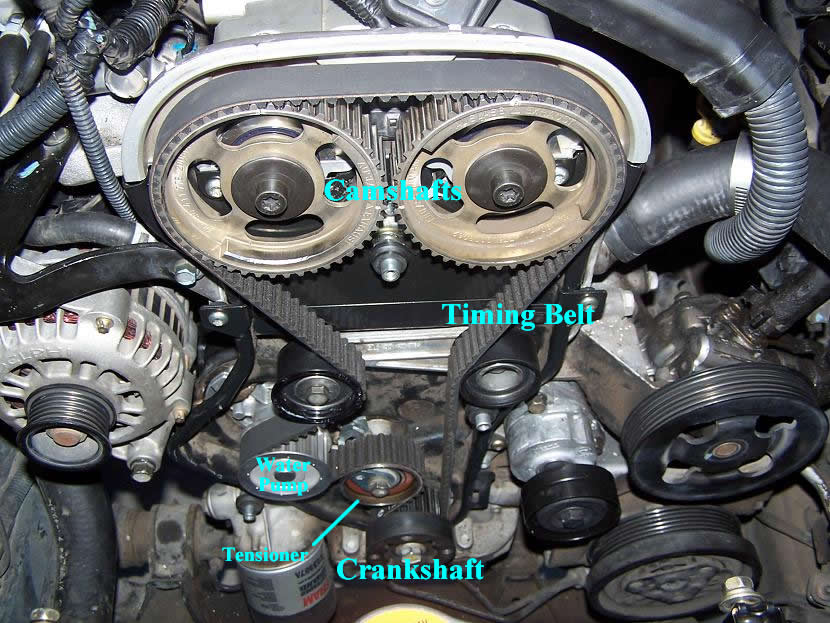 Timing Belt Interference Engine Chart